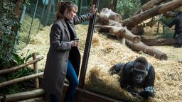 Tatort Zoo: Carol Schuler als Kommissarin Tessa Ott, Dariusz Holzer als Tierpfleger Mario Fu
