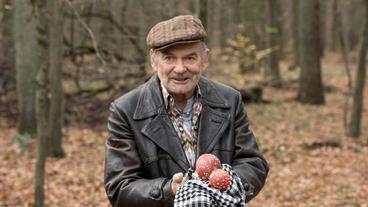 Bild: WDR/Martin Menke TATORT MÜNSTER: Taxifahrer Herbert Thiel (Claus D. Clausnitzer) macht reiche Beute als er seinen Sohn, Kommissar Thiel, zum Fundort einer Leiche fährt.