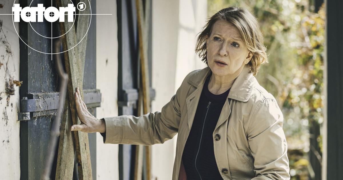 Tatort Ein Tag Wie Jeder Andere Tatort Ein Tag Wie Jeder Andere