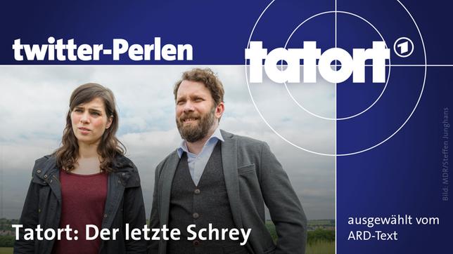 Tatort: Der letzte Schrey