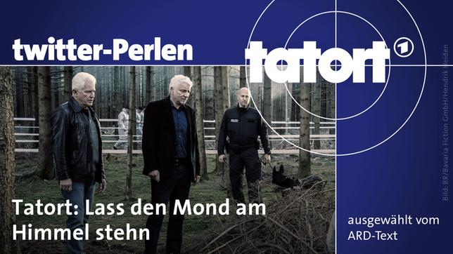 Tatort: Lass den Mond am Himmel stehn