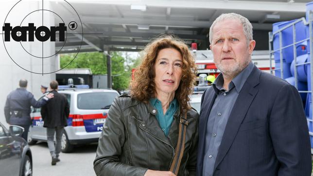 Bibi (Adele Neuhauser) und Moritz (Harald Krassnitzer) inspizieren den Unfallort.