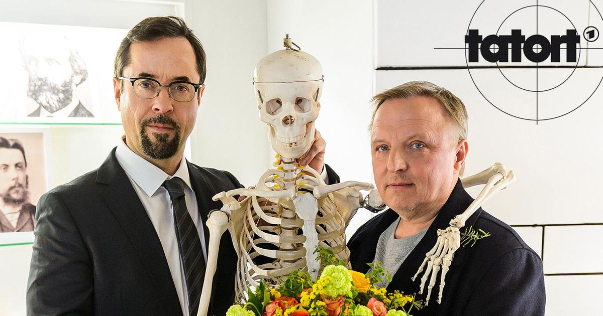 tatort feierstunde tatort feierstunde