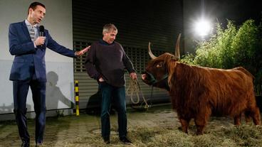 Bild: NDR/Morris Mac Matzen Moderator Kai Pflaume und seine Rateteam-Kapitäne Bernhard Hoecker und Elton begrüßen in dieser XXL-Ausgabe, der 500. "Wer weiß denn sowas"-Sendung, unter anderem die beiden Schauspielerinen Maria Furtwängler und Emilia Schüle, den Comedian Ralf Schmitz und den Schauspieler Dieter Hallervorden, sowie die Schauspielerin Adele Neuhauser und den Schauspieler Harald Krassnitzer. Foto: Kai Pflaume (links) hat Respekt vor seinem tierischen Besuch
