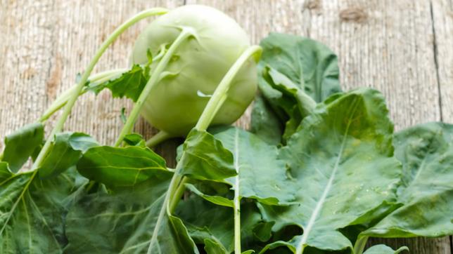 Bild: photos.com Kohlrabi