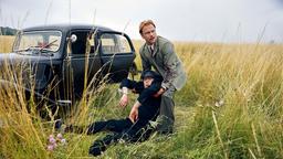 Wolfgang Berns (Max Riemelt) versucht die Leiche von dem Fahrer Manfred (Moritz Fischer) loszuwerden.