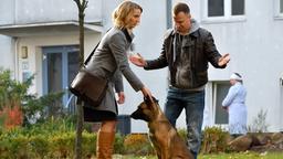 Die blinde Anwältin Romy Heiland (Christina Athenstädt) versucht ihre Angst vor dem Svenja Benders Hund Dexter zu überwinden. Unterstützt wird sie dabei von Ringo Holländer (Tim Kalkhof, re), dem Bruder ihrer Assistentin.