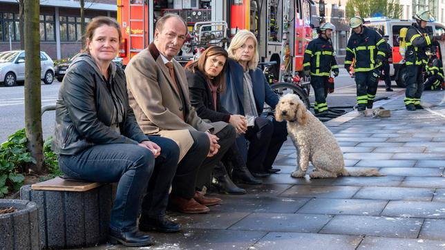 Bild: ARD/Georges Pauly Die Kanzlei ist abgebrannt: Gudrun (Katrin Pollitt), Markus Gellert (Herbert Knaup), Yasmin (Sophie Dal), Isa von Brede (Sabine Postel) und Hund Teddy sitzen fassungslos auf der Straße