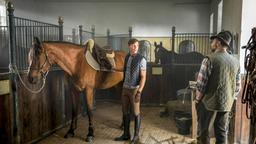 Der Gestütsleiter Moser (Martin Leutgeb) trifft Maximilian (Christoph Luser) im Stall bei Lexadir, dem Trakehnerhengst. Moser unterstützt Maximilian bei seinen Plänen.