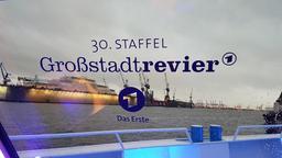 Bilder der Jubiläumsfeier des Großstadtreviers in Hamburg