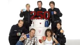 Henning Schulz, Lothar Krüger, Katja Metz, Dirk Matthies, Ben Kessler, "Nicki" Beck und "Harry" Möller