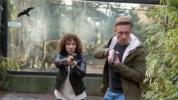 Einsatz im Tierpark: Harry (Maria Ketikidou) und Piet Welbrook (Peter Fieseler) müssen verhindern, dass der geflohene Straftäter Sascha Terlinden die Tiger freiläßt.