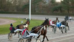 Hat Jan Eckhoff (Florian Panzer) mit Pferd "Amazing Grace" eine Chance beim Trabrennen?