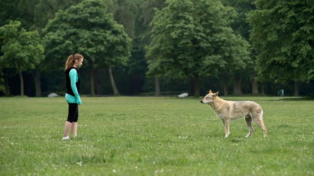 Unheimliche Begegnung –  Lea (Greta Bohacek) steht beim Joggen plötzlich dem Wolf gegenüber, der ganz Hamburg in Hysterie versetzt hat.