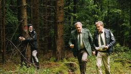 Umweltaktivisten (Thorsten Thane) besetzen den Wald des Barons Georg von Waldsee, um ihn vor der Rodung zu bewahren. Hubert (Christian Tramitz) und Girwidz (Michael Brandner) müssen sich mit den Umweltaktivisten auseinandersetzen.