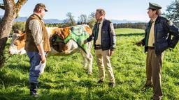 Der Bauer (Fritz Scheuermann) zeigt Hubert (Christian Tramitz) und Staller (Helmfried von Lüttichau) seine verunstalteten Kühe.