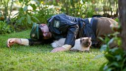 Riedls (Paul Sedlmeir) Versuch eine Katze einzufangen, scheitert kläglich.