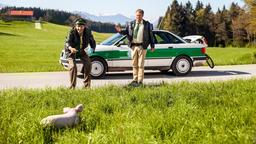 Staller (Helmfried von Lüttichau, l. mit Christian Tramitz) versucht den tierischen Ausreisser einzufangen.