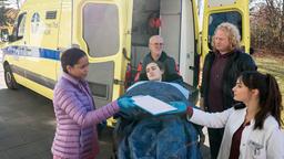 Die junge Boxerin Linn Strandberg (Josephine Martz) hat bei einem Kampf schwer einstecken müssen und wird in die Notaufnahme eingeliefert. Emma Jahn (Elisa Agbaglah) und Annika Rösler (Paula Schramm) nehmen die Patientin auf, die von ihrem Bruder und Trainer Per Strandberg (Julian Greis, 2.v.r. mit Komparse) begleitet wird.