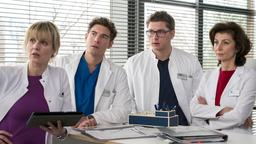 Dr. Lea Peters (Anja Nejarri) aus der Sachsenklinik, Ben Ahlbeck (Philipp Danne), Elias Bähr (Stefan Ruppe) und Prof. Dr. Karin Patzelt (Marijam Agischewa) besprechen gemeinsam die Werte des Patienten Jost Helmer.