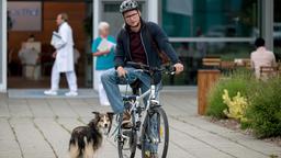 Hündin Jimmy und Elias Bähr (Stefan Ruppe) haben sich trotz dessen Hundehaarallergie angefreundet.