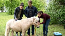 Tom Zondek (Tilman Pörzgen), Mikko Rantala (Luan Gummich) und Rebecca Krieger (Milena Straube) versuchen das Pony "Anke" vor dem Einschläfern zu bewahren.