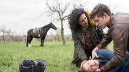 Während ihres Picknicks werden Leyla (Sanam Afrashteh) und Ben (Philipp Danne) Zeugen eines Reitunfalls. Gesine Pfahl (Julia Jäger) liegt beuwsstlos am Boden.