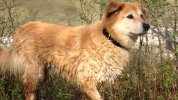 Regelmäßig an die frische Luft, mit oder ohne Hund