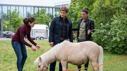 Doch ein Blick in die treuen Pony-Augen und Tom bringt es nicht übers Herz – was Moreau natürlich durchschaut! Unverhofft macht Matteo ihm einen neuen Vorschlag: Tom soll das Pony heilen, um sich für Herberts zweite OP zu qualifizieren!