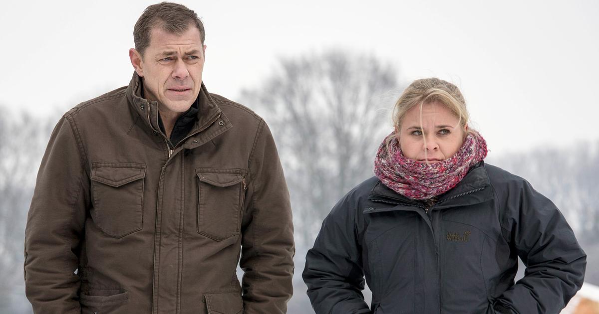 Partnervermittlung im norden