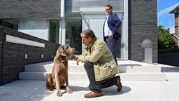Lars (Ingo Naujoks, h.) wartet auf Finn (Sven Martinek), dem etwas am Familienhund der Hövens aufgefallen ist.