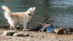 Britta Zegers liegt tot am Rheinufer, ihr Hund bellt.