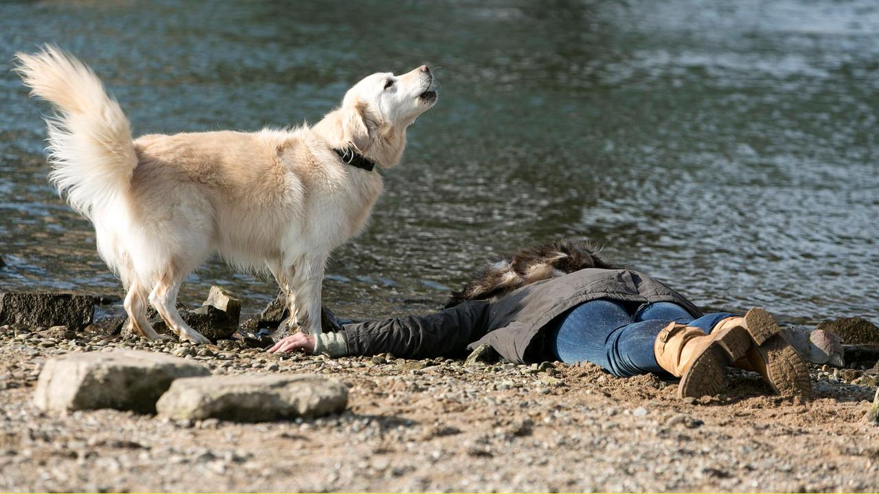 Britta Zegers liegt tot am Rheinufer, ihr Hund bellt.