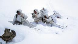 Unerwartete Begegnungen im norwegischen Hochplateau: Freund oder Feind?