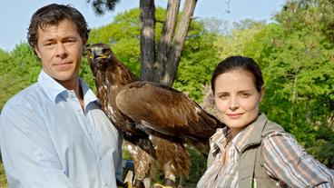 Susanne und Christoph lassen den Adler frei