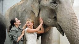 Susanne und Anett untersuchen den Elefanten