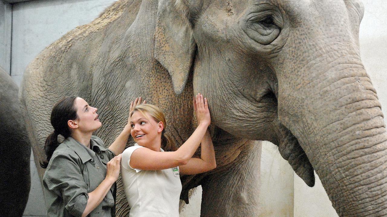Susanne und Anett untersuchen den Elefanten