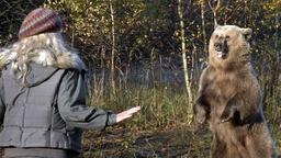 Nicole Sommer und der Bär