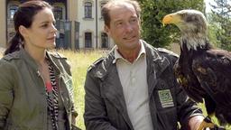 Dr. Mertens und Dr. Fährmann