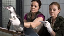 Susanne und Anett