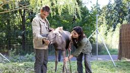 Susanne und Conny mit einem Elch