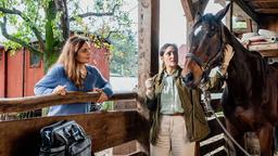 Bei der Versorgung der verletzten Stute Caramel bekommt Tierärztin Dr. Susanne Mertens (Elisabeth Lanz) Unterstützung von Dr. Elif Şahin (Neshe Demir), die Cheftierärztin aus dem Zoo.