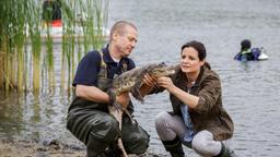 Susanne und ein Helfer haben einen Kaiman im See gefangen.