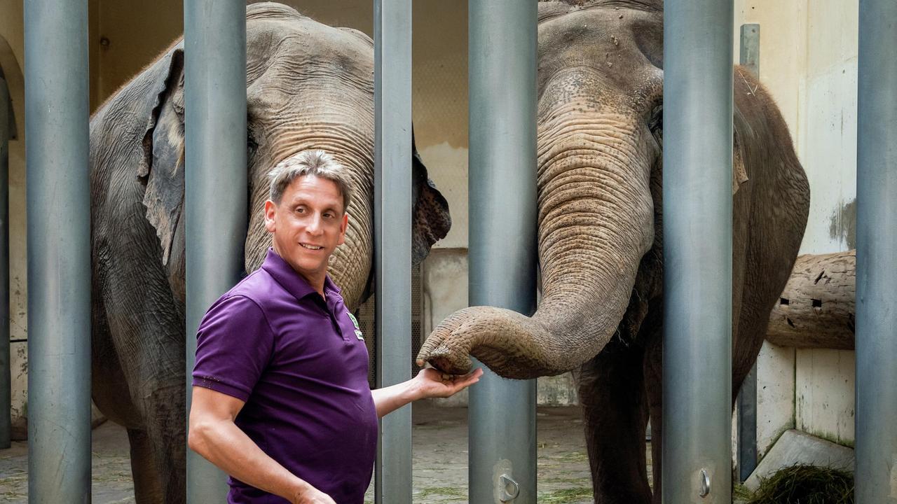 Cheftierpfleger Conny Weidner (Thorsten Wolf) füttert die Dickhäuter des Leipziger Zoos. Aber Elefantenkuh Najuma hat keinen Appetit und zeigt aggressives Verhalten. Kann Conny ihr helfen?