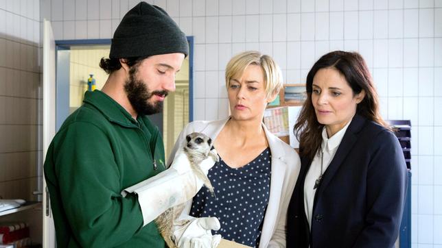 Bild: ARD/Steffen Junghans Das auf dem Flughafen sicher gestellte Erdmännchen ist eventuell mit einem tödlichen Virus infiziert. Tierarztassistent Kai (Manuel Mairhofer) möchte von Zoodirektorin Frau Dr. Wörner (Gesine Cukrowski) wissen, was zu tun ist. Tierärztin Susanne Mertens (Elisabeth Lanz) berät gern.