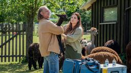 Die freiberufliche Tierärztin Dr. Susanne Mertens (Elisabeth Lanz) ist auch als mobile Tierärztin im Einsatz. Mike Redmann (Matthias Komm), der Besitzer einer Alpakafarm, braucht ihre Hilfe.