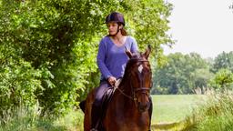 Die freie Tierärztin Dr. Susanne Mertens (Elisabeth Lanz) ist auf der Suche nach einer jungen Reiterin, die mit ihrem Pferd verunglückt ist.