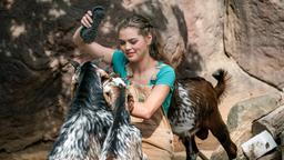 Die junge Praktikantin Luisa Mertens (Lilly Wiedemann) hat großen Spaß an der Arbeit mit den Tieren. Aber der erste große Patzer lässt nicht lange auf sich warten.