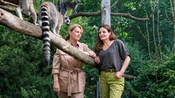 Dr. Susanne Mertens (Elisabeth Lanz) ist als mobile Tierärztin im Zoopark Erfurt unterwegs, um Direktorin Jutta Herbst (Maike Bollow) bei der Resozialisierung eines jungen Kattas zu helfen.