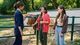 Ein Notfall bringt die freie Tierärztin Dr. Susanne Mertens (Elisabeth Lanz) auf den Hof von Tanja Fischer (Barbara Weiß). Gemeinsam mit Susannes Tochter Luisa (Lilly Wiedemann) rätseln die drei Frauen, was dem Tier fehlen könnte.